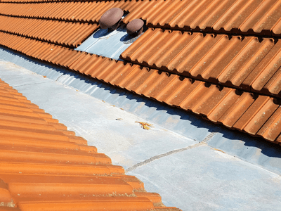 About Leaking Skylight Repair Pros San Isidro, TX